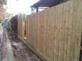 New Fence From Laneway